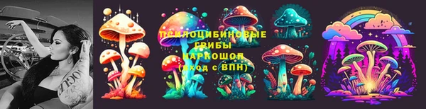 тгк Кукмор