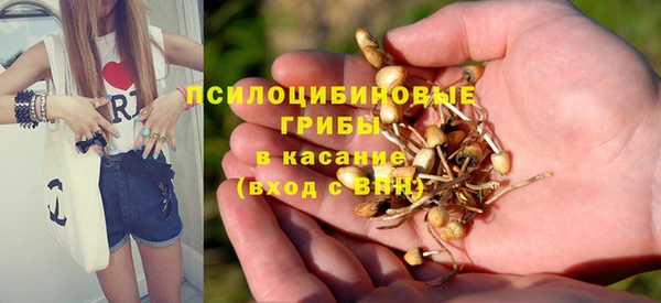 соль курить ск Кулебаки