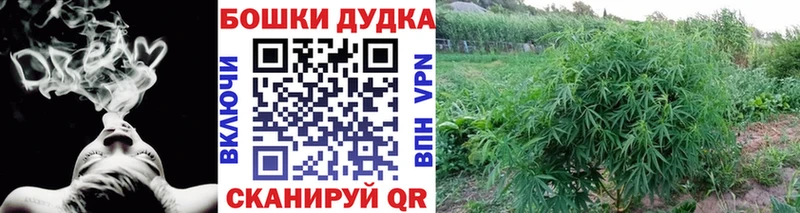 Марихуана SATIVA & INDICA Ухта