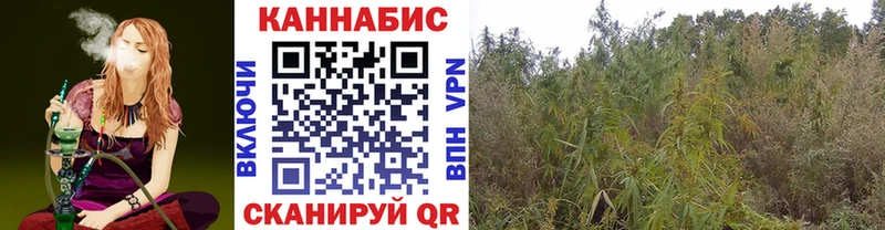 Купить  Ухта  Бошки Шишки Amnesia 